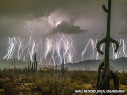 'Bolt From The Blue': Lightning Megaflash Of 829 Kilometres Sets New World Record 'Bolt From The Blue': Lightning Megaflash Of 829 Kilometres Sets New World Record