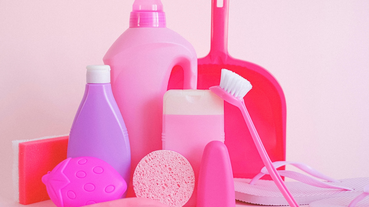 Use Home Care Essentials Every Day To Keep 1 Room Or 5 Neat, Safe And Ready For Use
