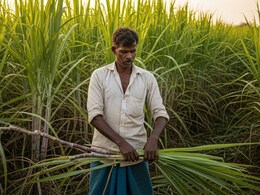 PM Dhan Dhaanya Krishi Yojana: 'पीएम धन-धान्य कृषी योजना' नेमकी काय आहे? PM Dhan Dhaanya Krishi Yojana: 'पीएम धन-धान्य कृषी योजना' नेमकी काय आहे?