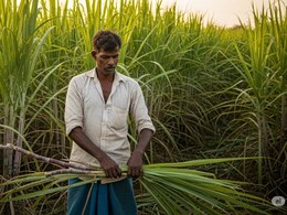 Rajasthan: बटन दबाते ही किसानों के खाते में आएंगे 1200 करोड़ रुपए, राजस्थान के 27 लाख लोगों को होगा फायदा