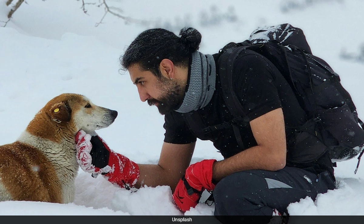 В новаторски ход Лондонското училище за икономика и политически науки