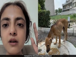 "My Only Crime...": Gurugram Woman Alleges Assault Over Feeding Stray Dogs "My Only Crime...": Gurugram Woman Alleges Assault Over Feeding Stray Dogs