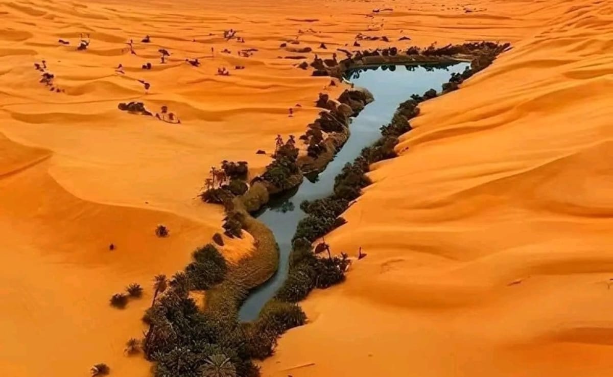 Sahara Desert Oasis Related