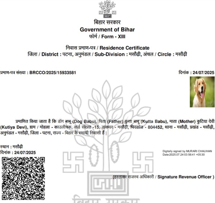 A Residence Certificate For "Dog Babu" Amid Bihar Voter List Revision Row