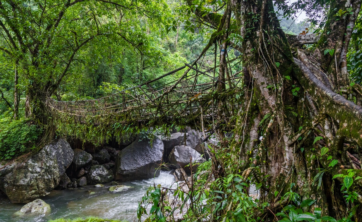 Photo: iStock Photo: iStock