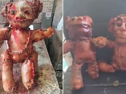 सड़क पर मिला इंसान की खाल वाला टेडी बियर, एनाबेल से भी है डरावना, कमजोर दिल वाले न देखें VIDEO
