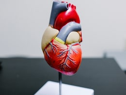 Unexplained Fatigue? It Could Be A Silent Heart Valve Issue Unexplained Fatigue? It Could Be A Silent Heart Valve Issue