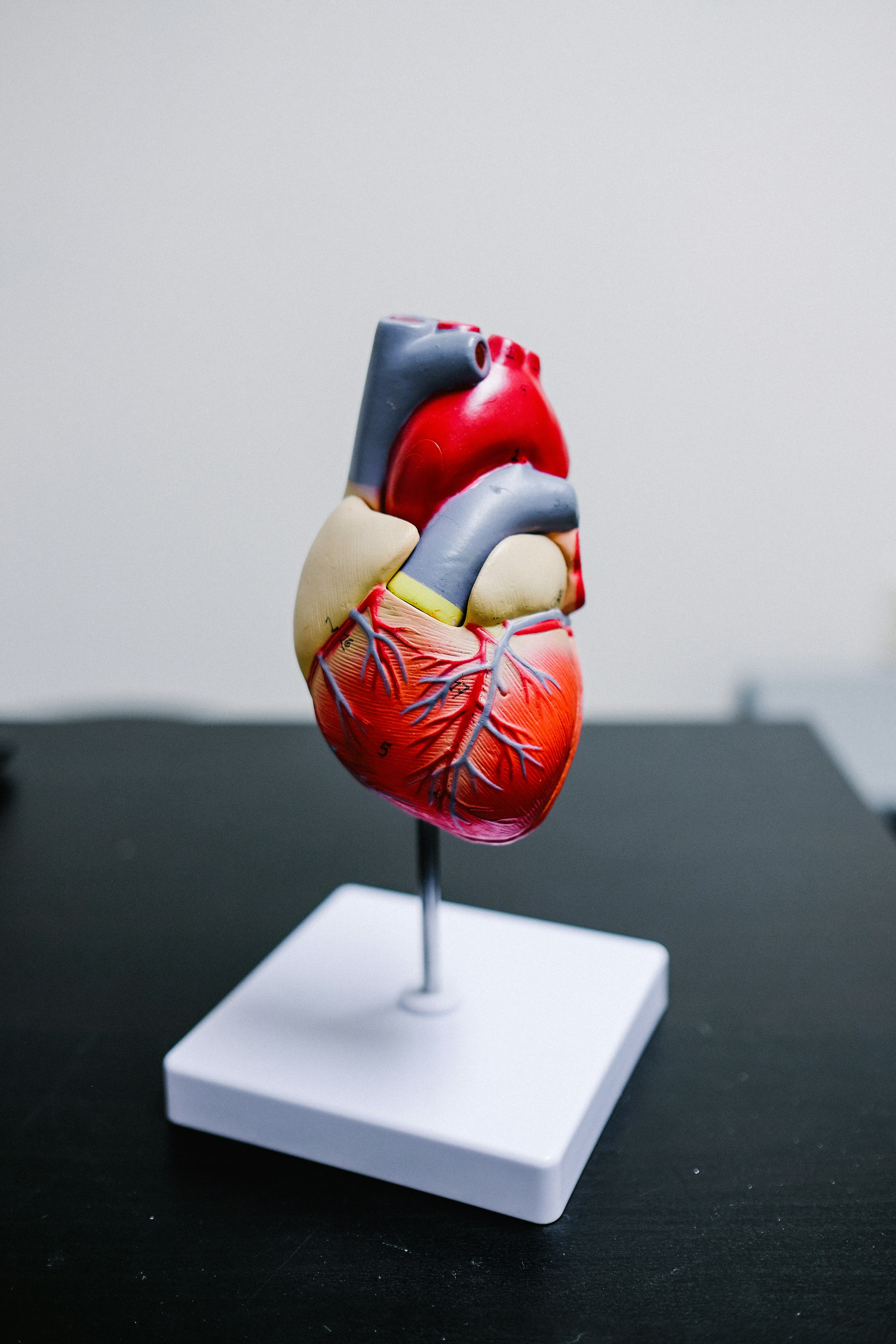 Damaged heart valves can limit blood flow and cause a buildup of fluid
