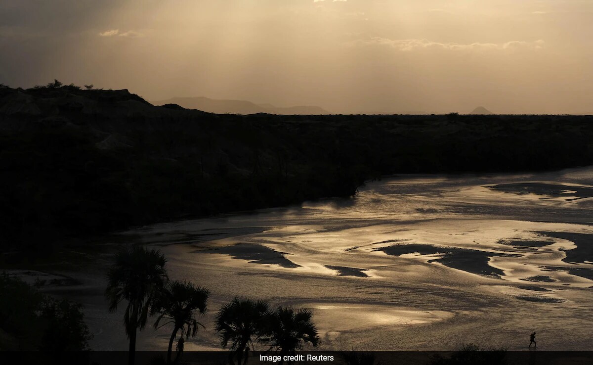 Учените са възстановили древните протеини от изкопан зъб Rhinoceros което