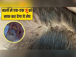 घर पर बने इस लेप से मिनटों में मर जाएंगी जूं, एक-एक लीक का भी हो जाएगा सफाया, जान लें Doctor Hansaji का ये जबरदस्त नुस्खा घर पर बने इस लेप से मिनटों में मर जाएंगी जूं, एक-एक लीक का भी हो जाएगा सफाया, जान लें Doctor Hansaji का ये जबरदस्त नुस्खा