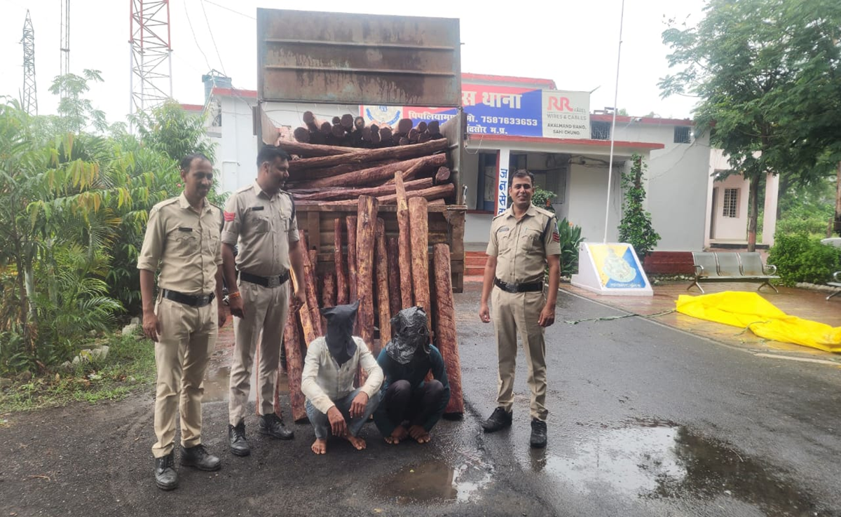 Chandan Smuggler: 4.5 करोड़ रुपये का दुर्लभ चंदन पकड़ाया, मंदसौर में तस्करों पर पुलिस का एक्शन