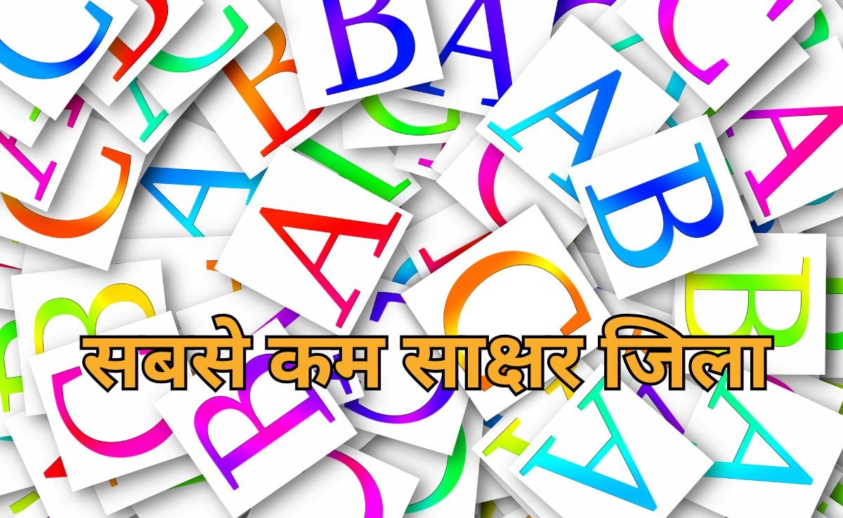 मध्य प्रदेश के इस जिले में रहते हैं सबसे कम पढ़े-लिखे लोग ! कहलाता है भारत का निरक्षर जिला, आंकड़े देख हो जाएंगे हक्का बक्का!