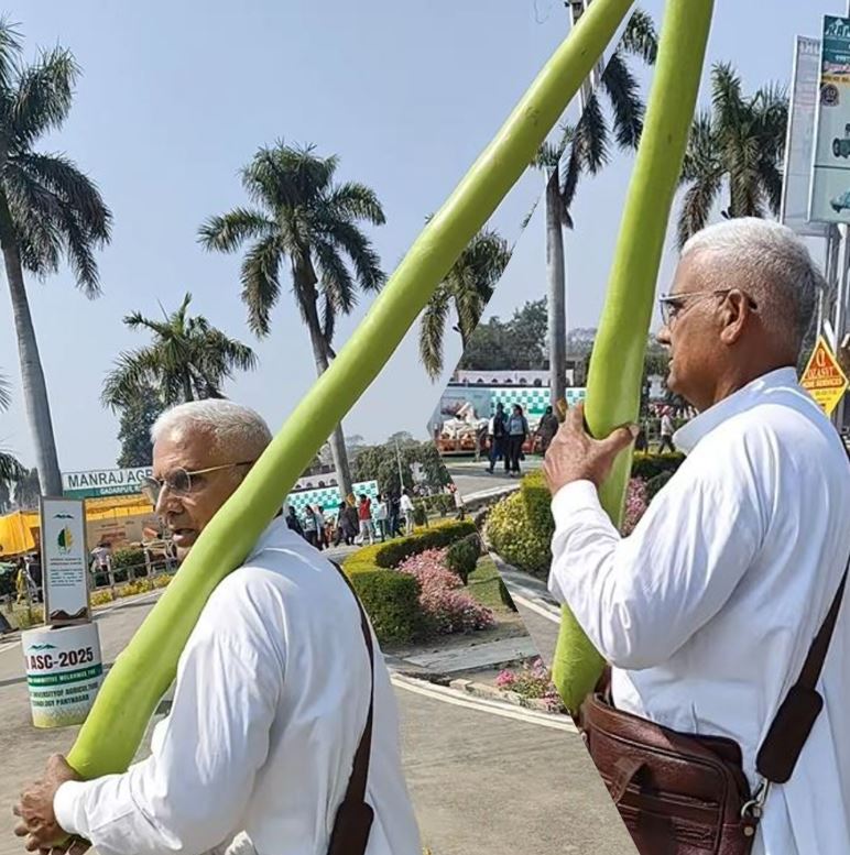 8 फीट की लौकी को ताऊ ने बताया भिंडी, देख लोग बोले- यह तो प्रधान जी हैं