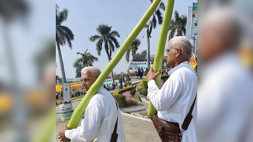 8 फीट की लौकी को ताऊ ने बताया भिंडी, देख लोग बोले- यह तो प्रधान जी हैं