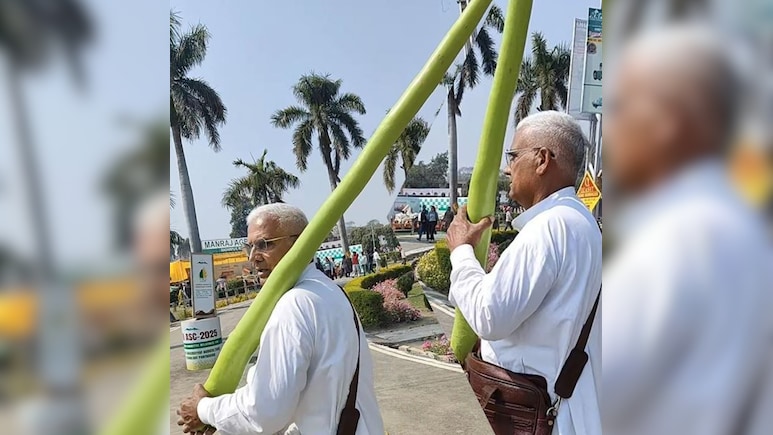 8 फीट की लौकी को ताऊ ने बताया भिंडी, देख लोग बोले- यह तो प्रधान जी हैं