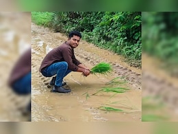 CG News: वर्षों तक रहा इंतजार, नहीं बनी सड़क; अब रास्ते पर ही धान की रोपाई कर दी शुरू