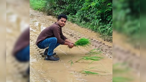 CG News: वर्षों तक रहा इंतजार, नहीं बनी सड़क; अब रास्ते पर ही धान की रोपाई कर दी शुरू