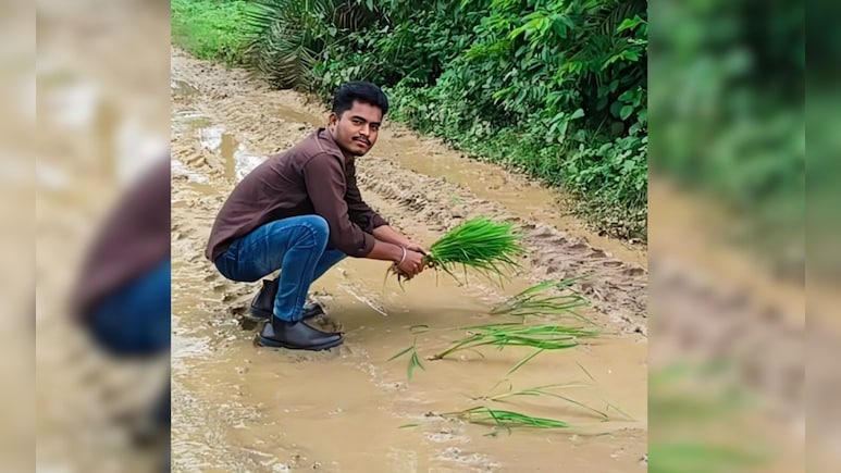 CG News: वर्षों तक रहा इंतजार, नहीं बनी सड़क; अब रास्ते पर ही धान की रोपाई कर दी शुरू