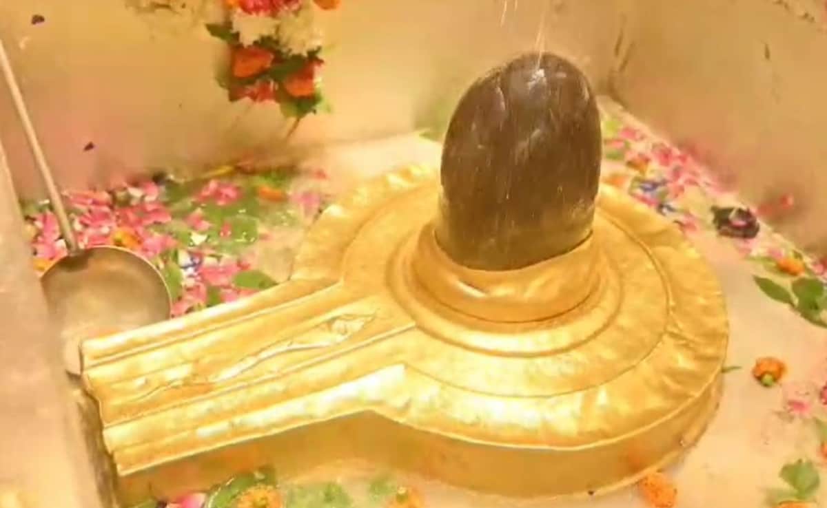 Latest and Breaking News on NDTV Latest and Breaking News on NDTV