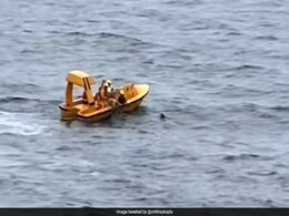 Man Jumps Overboard To Save His Daughter After She Falls From Disney Cruise Ship Man Jumps Overboard To Save His Daughter After She Falls From Disney Cruise Ship