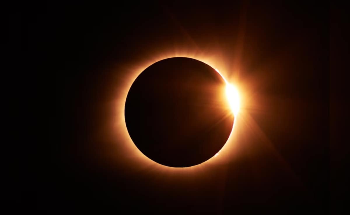 Latest and Breaking News on NDTV Latest and Breaking News on NDTV