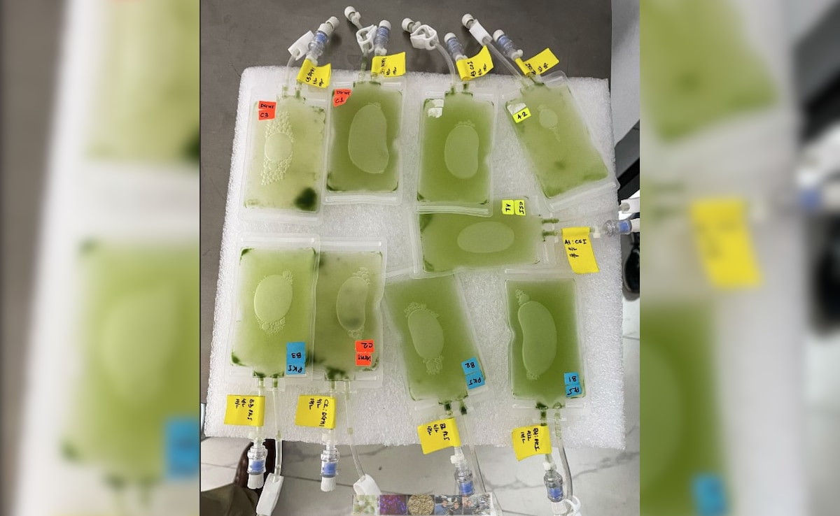 Latest and Breaking News on NDTV Latest and Breaking News on NDTV