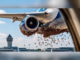 Rajasthan: जयपुर आ रही इंडिगो की फ्लाइट पर मधुमक्खियों का हमला, धुआं और दमकलकर्मियों ने पानी की बौछारें की Rajasthan: जयपुर आ रही इंडिगो की फ्लाइट पर मधुमक्खियों का हमला, धुआं और दमकलकर्मियों ने पानी की बौछारें की