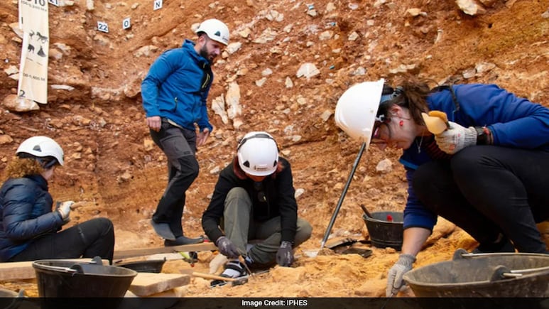 Ancient Humans Ate Children 850,000 Years Ago, New Discovery Reveals Ancient Humans Ate Children 850,000 Years Ago, New Discovery Reveals