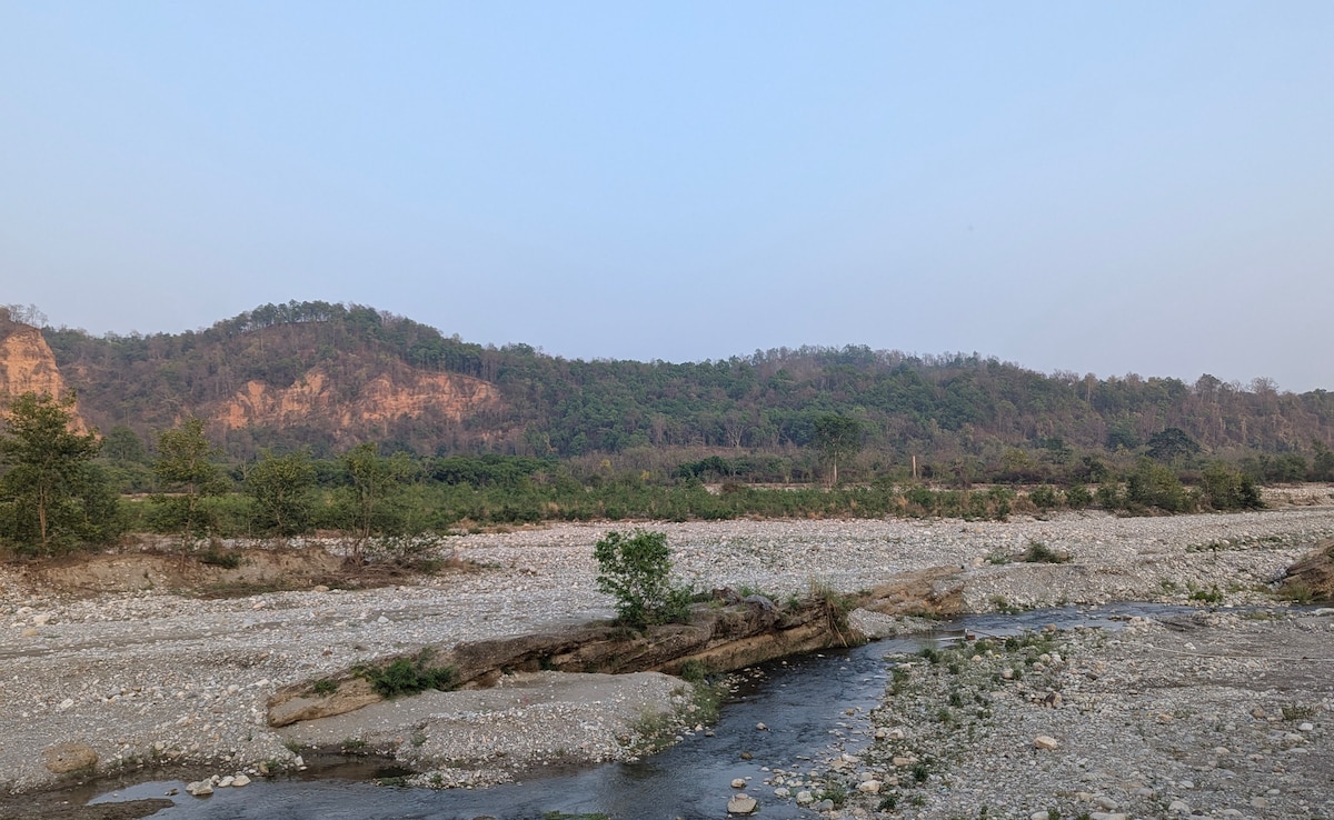 Latest and Breaking News on NDTV Latest and Breaking News on NDTV