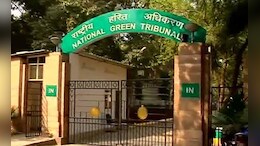 Jabalpur NGT Notice: 400 करोड़ खर्च के बाद भी नर्मदा में गिर रहा गंदा पानी, NGT ने लगाई फटकार