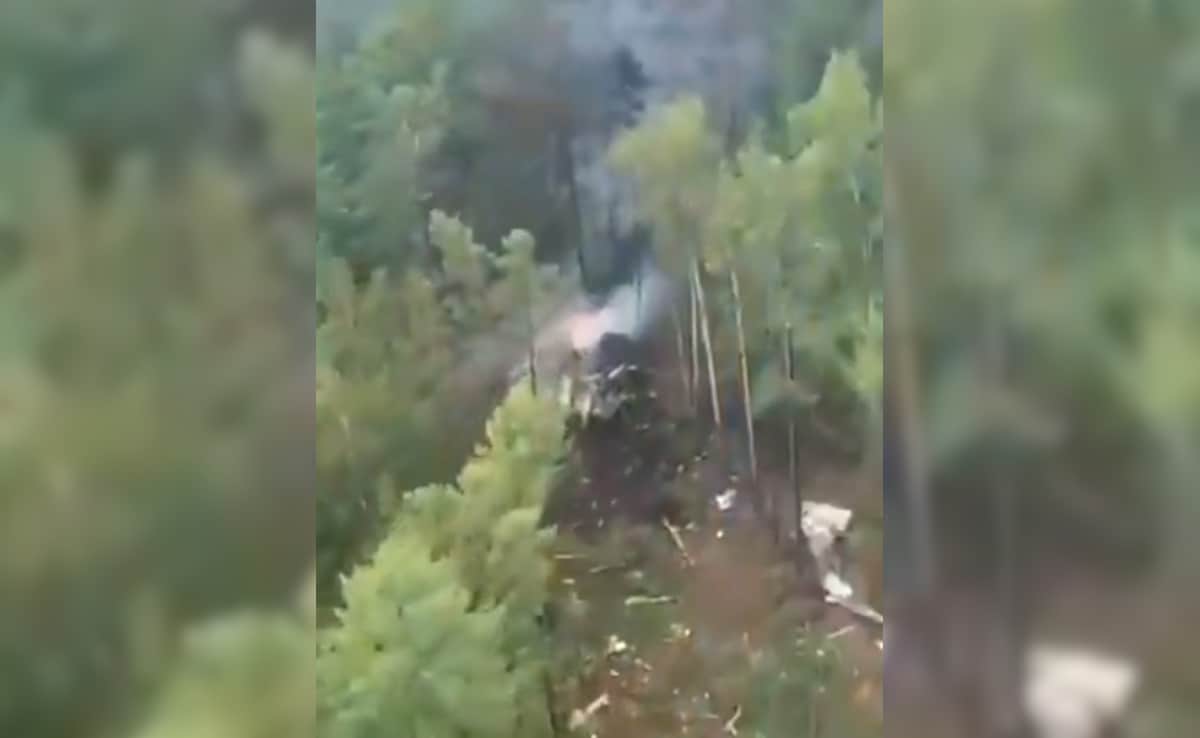 Russian plane crash kills 43 in Amur region forest