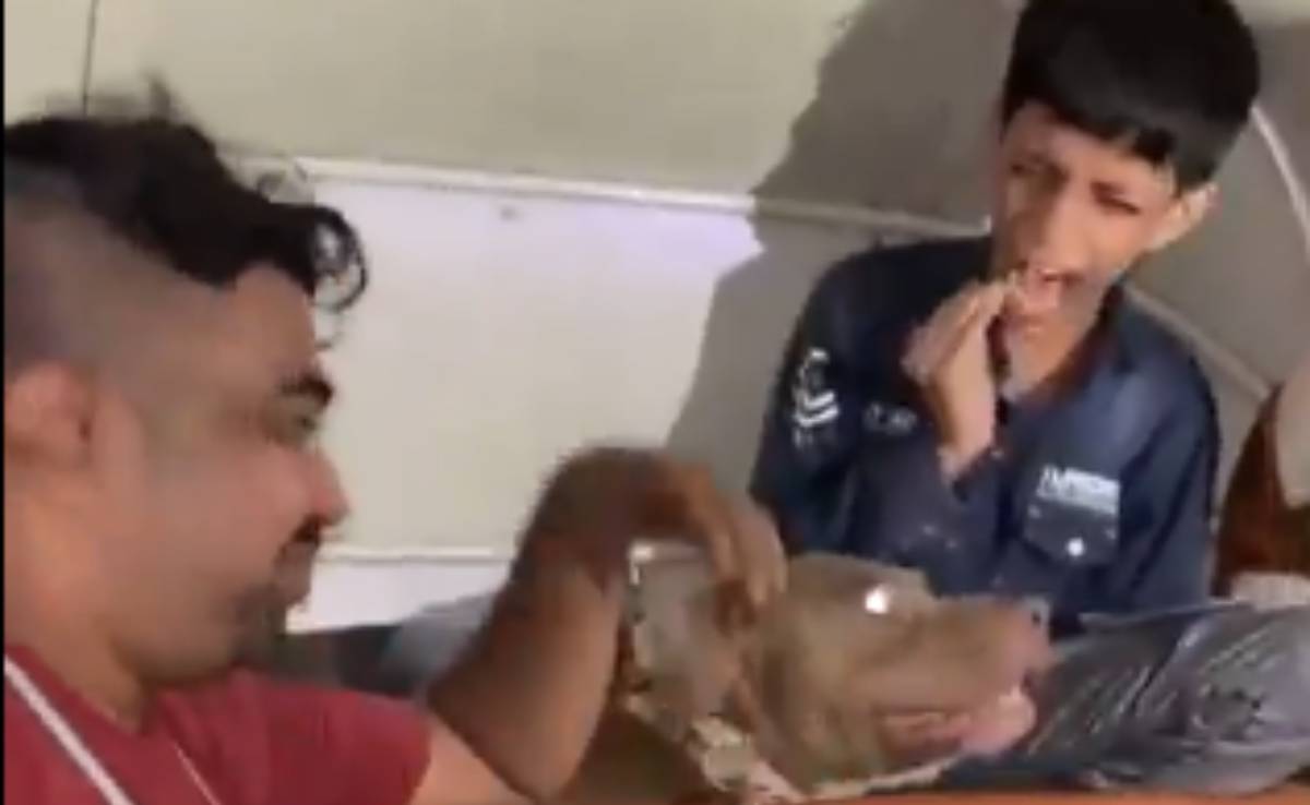 ऑटो रिक्‍शा में पिटबुल डॉग से कटवाया बच्‍चे को, हंसता रहा मालिक, वीडियो देखकर आप भी सहम जाएंगे