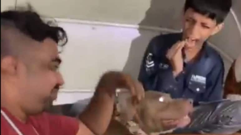 ऑटो रिक्‍शा में पिटबुल डॉग से कटवाया बच्‍चे को, हंसता रहा मालिक, वीडियो देखकर आप भी सहम जाएंगे
