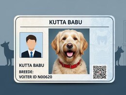 Dog Babu Domicile Certificate: कुत्रेही बिहारचे रहिवासी झाले ? 'डॉग बाबू'ला मिळाले डोमिसाईल सर्टिफिकेट
