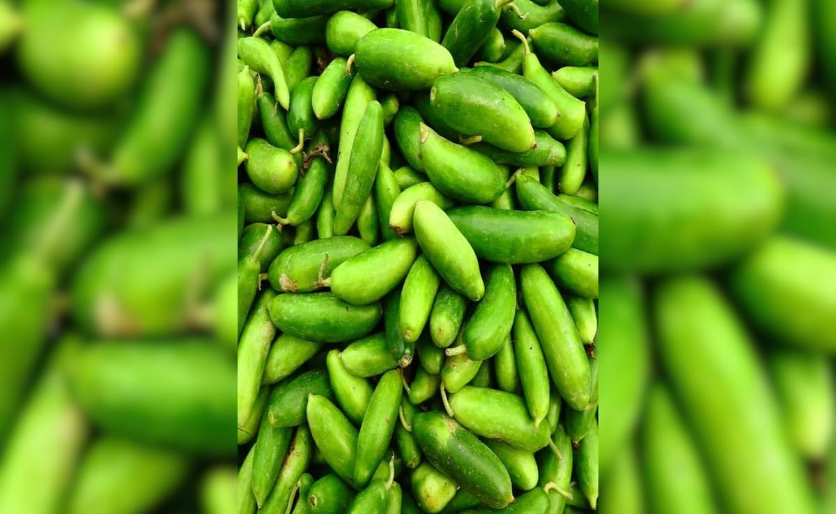 शुगर से लेकर, कोलेस्ट्रॉल तक में फायदेमंद है ये छोटी और सस्ती सब्जी, जानें सेहत के अलसी हीरो कुंदरू के 5 गजब फायदे