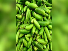 शुगर से लेकर, कोलेस्ट्रॉल तक में फायदेमंद है ये छोटी और सस्ती सब्जी, जानें सेहत के अलसी हीरो कुंदरू के 5 गजब फायदे