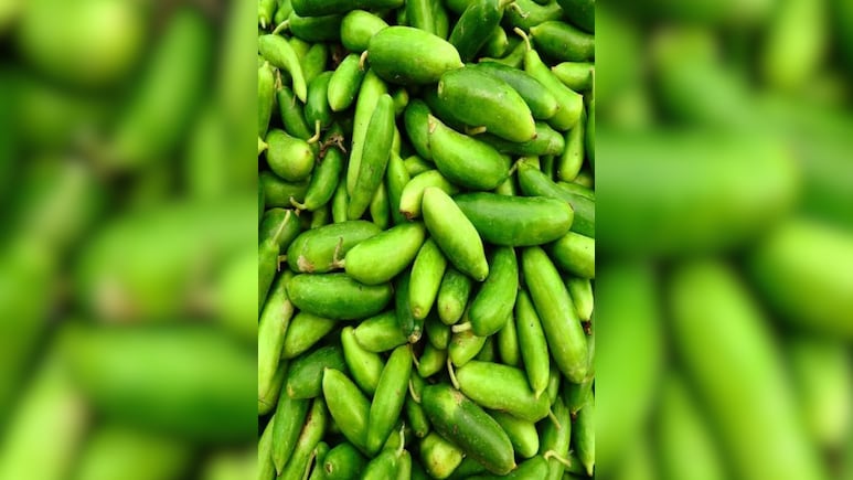 शुगर से लेकर, कोलेस्ट्रॉल तक में फायदेमंद है ये छोटी और सस्ती सब्जी, जानें सेहत के अलसी हीरो कुंदरू के 5 गजब फायदे