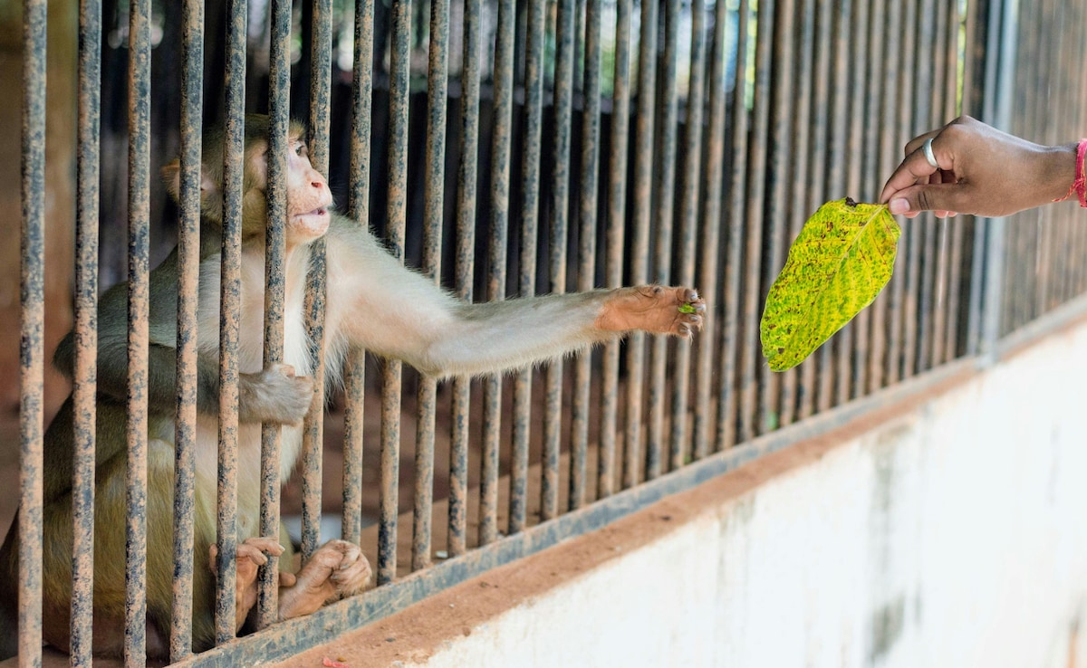 Latest and Breaking News on NDTV Latest and Breaking News on NDTV