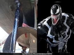Mysterious Goo-Like Life Form Found On Ship In US: "Venom Showing Up Wasn't On My Bingo Card" Mysterious Goo-Like Life Form Found On Ship In US: "Venom Showing Up Wasn't On My Bingo Card"