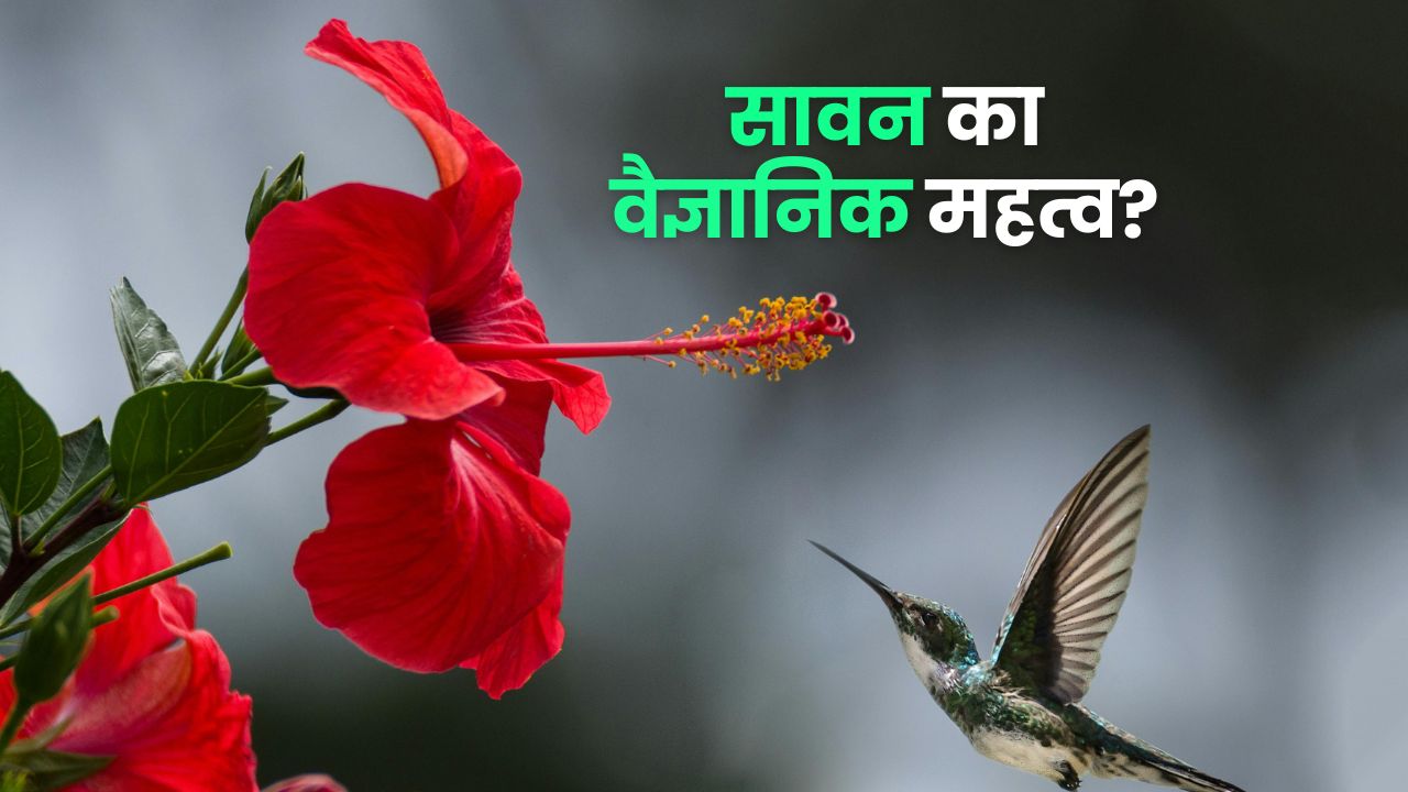 Sawan 2025: धर्म ही नहीं विज्ञान के लिहाज से भी बेहद खास है सावन का महीना, जानें यहां कैसे