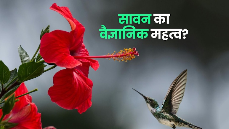 Sawan 2025: धर्म ही नहीं विज्ञान के लिहाज से भी बेहद खास है सावन का महीना, जानें यहां कैसे
