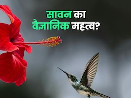 Sawan 2025: धर्म ही नहीं विज्ञान के लिहाज से भी बेहद खास है सावन का महीना, जानें यहां कैसे Sawan 2025: धर्म ही नहीं विज्ञान के लिहाज से भी बेहद खास है सावन का महीना, जानें यहां कैसे