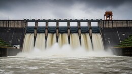 Pune Flood Alert: मुळा-मुठा नदीला पूर येण्याची भीती, पुण्यात अतिवृष्टीचा अंदाज