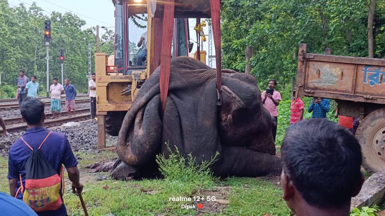 क्रेन के जरिए हाथी की लाश को पटरी से हटाया गया. क्रेन के जरिए हाथी की लाश को पटरी से हटाया गया.