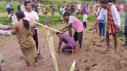 On Camera, Odisha Couple Tied To Yoke Like Oxen, Made To Plough Field