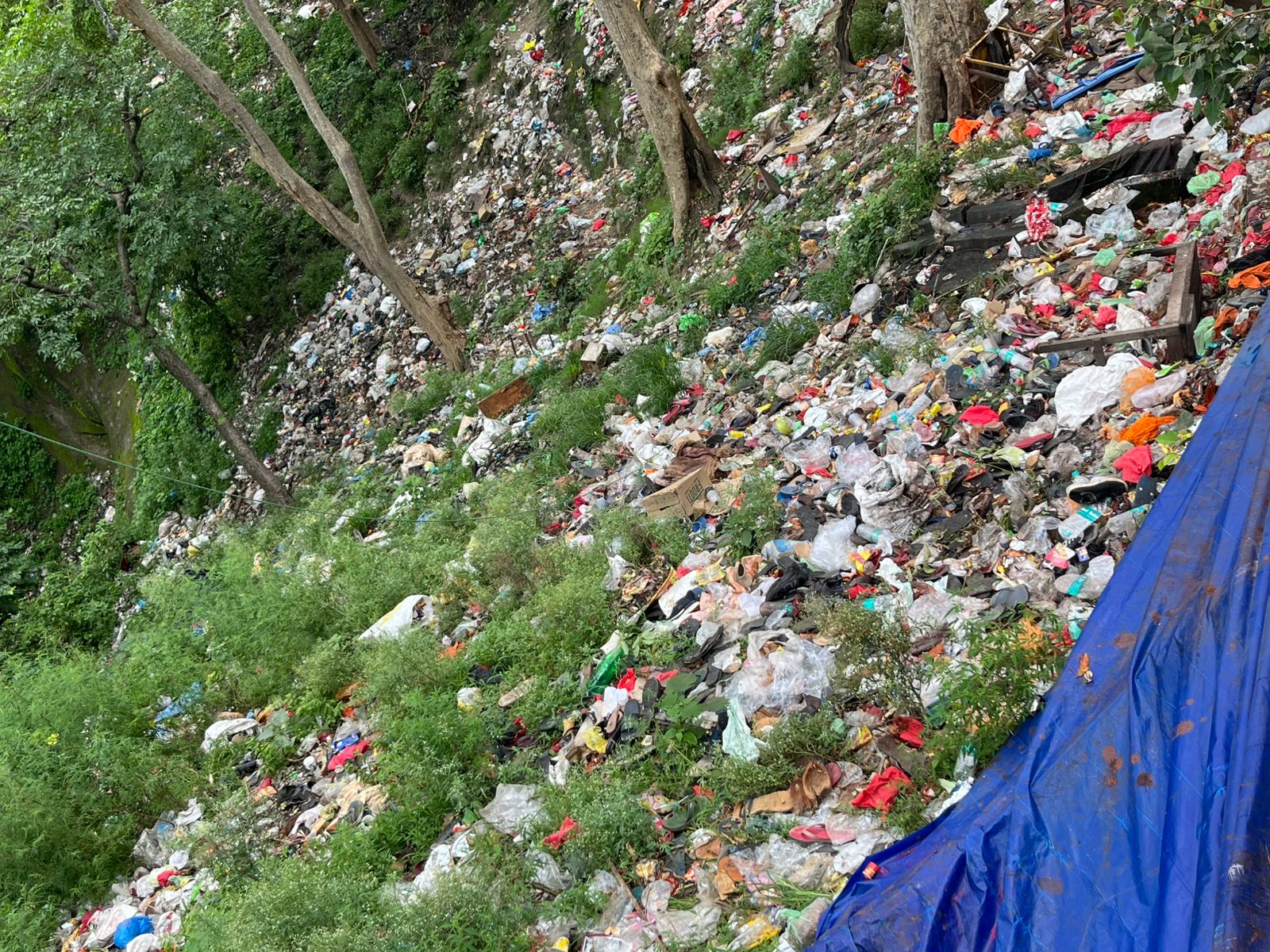 ग्राउंड रिपोर्ट: मनसा देवी मंदिर के पहाड़ पर लगा कूड़े का अंबार, नेशनल पार्क बना डंपिंग जोन 