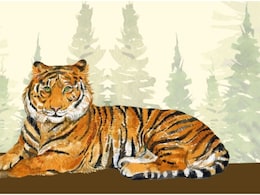 आज देशभर में मनाया जाएगा अंतरराष्ट्रीय बाघ दिवस 2025, खास होंगे दो बड़े अभियान आज देशभर में मनाया जाएगा अंतरराष्ट्रीय बाघ दिवस 2025, खास होंगे दो बड़े अभियान