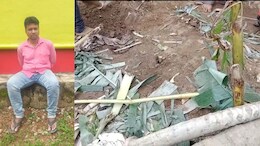 Odisha Man Murders Wife, Her Mother, Plants Banana Trees To Hide Buried Bodies
