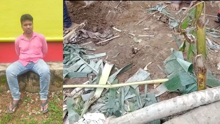 Odisha Man Murders Wife, Her Mother, Plants Banana Trees To Hide Buried Bodies