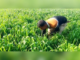 एमपी गजब है... किसानों पर खर्चने थे 5 करोड़, गाड़ियों पर उड़ा दी 90% रकम, कैग ने खोली पोल एमपी गजब है... किसानों पर खर्चने थे 5 करोड़, गाड़ियों पर उड़ा दी 90% रकम, कैग ने खोली पोल